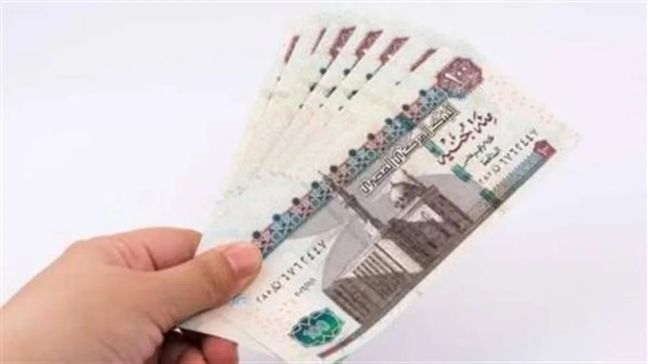 دعم مالي.. شروط الحصول على تعويض البطالة لمدة 7 أشهر بعد الفصل